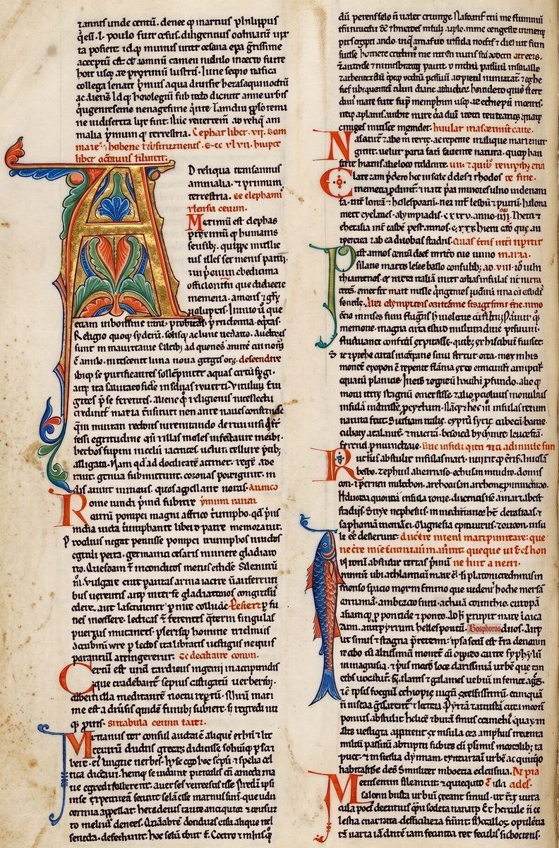 Blog
